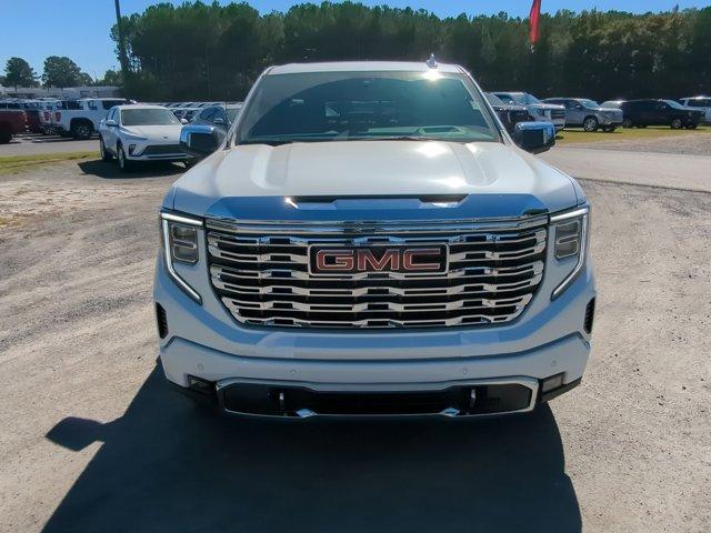 2025 GMC Sierra 1500 Vehicle Photo in ALBERTVILLE, AL 35950-0246