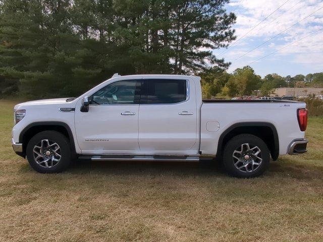 2025 GMC Sierra 1500 Vehicle Photo in ALBERTVILLE, AL 35950-0246