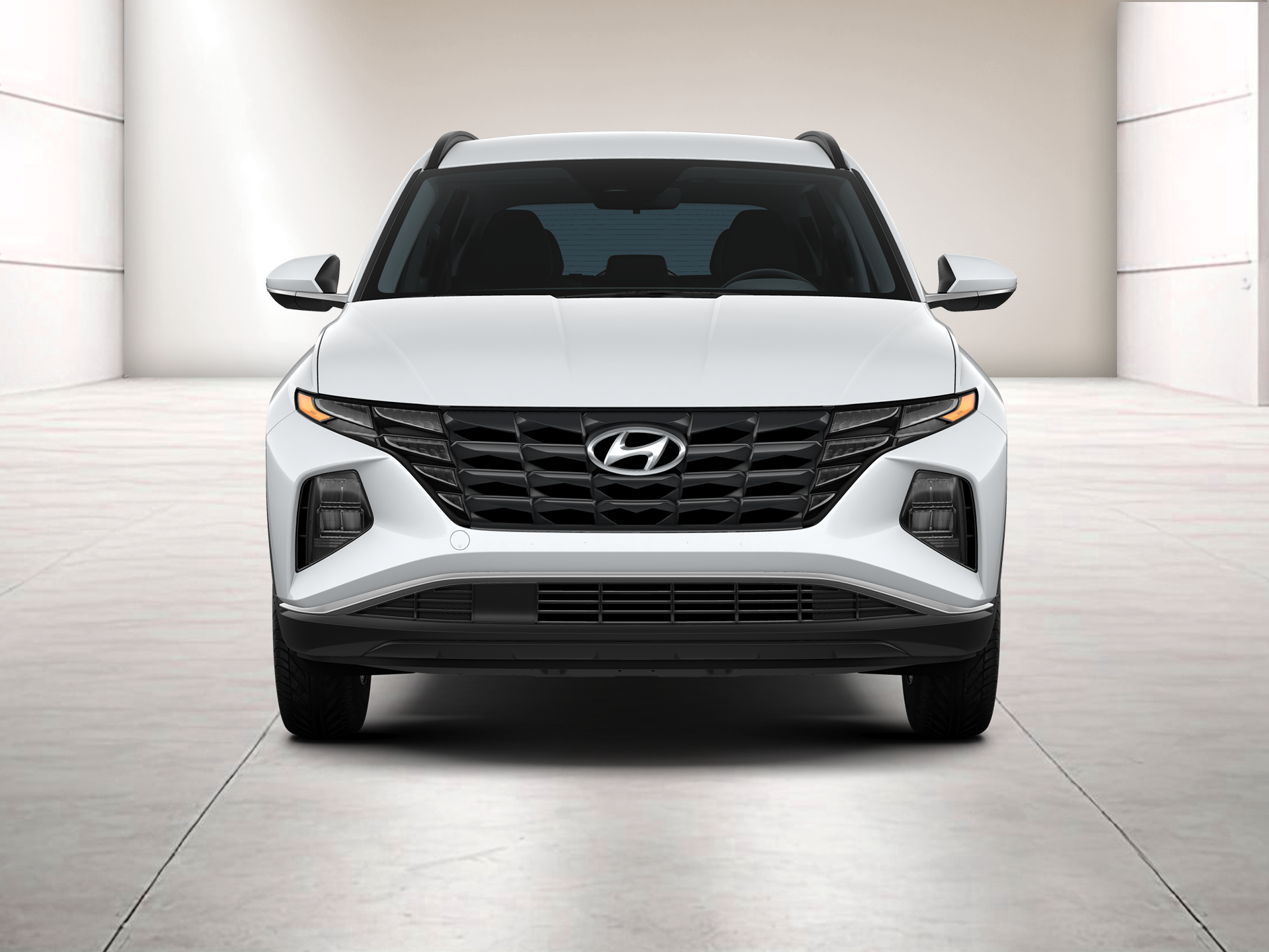 2024 Hyundai TUCSON Vehicle Photo in O'Fallon, IL 62269