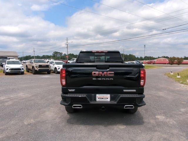 2025 GMC Sierra 1500 Vehicle Photo in ALBERTVILLE, AL 35950-0246