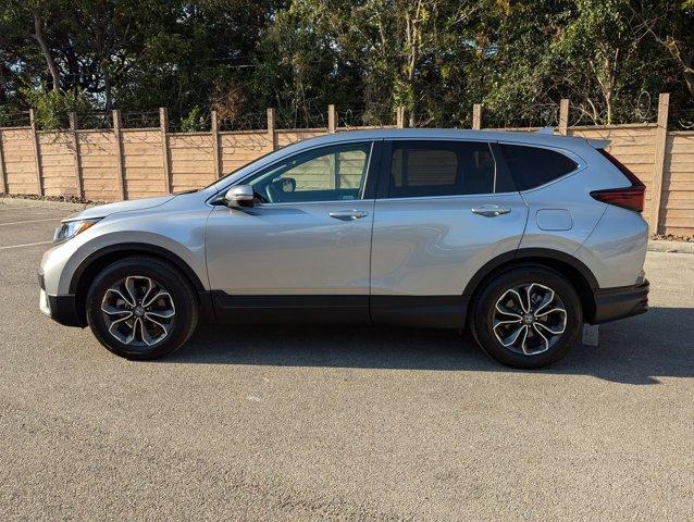 2022 Honda CR-V Vehicle Photo in San Antonio, TX 78230