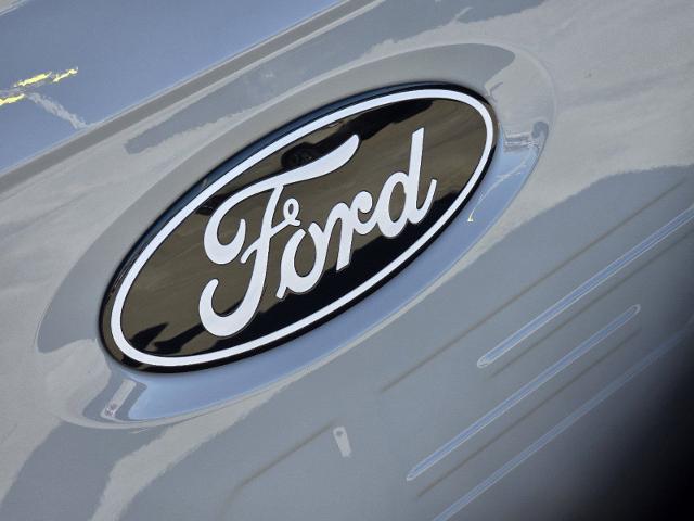 2024 Ford F-150 Vehicle Photo in STEPHENVILLE, TX 76401-3713