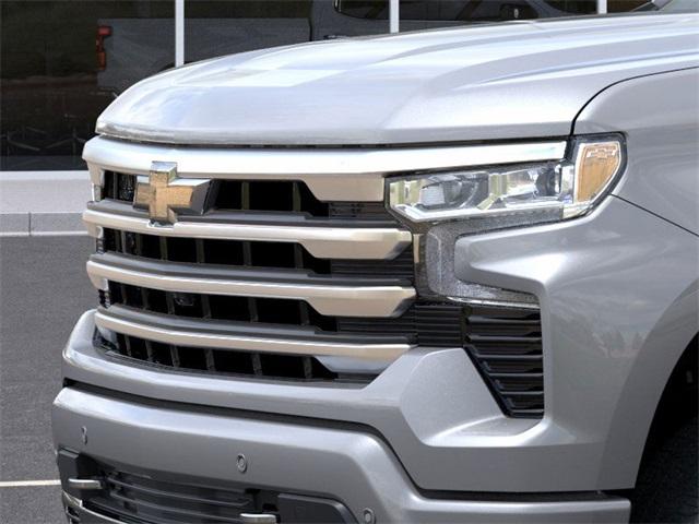 2025 Chevrolet Silverado 1500 Vehicle Photo in GLENWOOD, MN 56334-1123