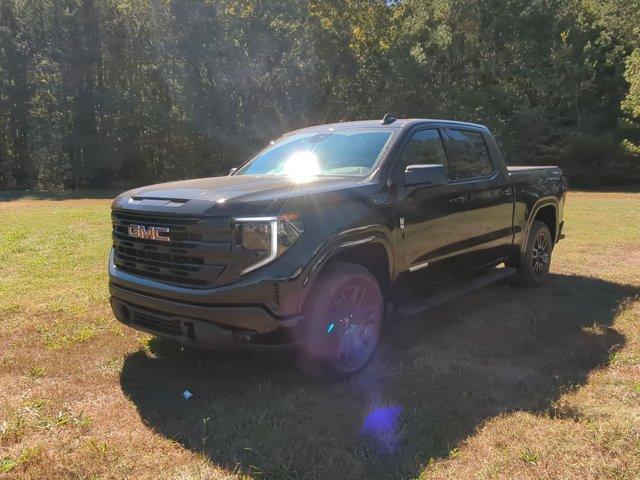 2024 GMC Sierra 1500 Vehicle Photo in ALBERTVILLE, AL 35950-0246