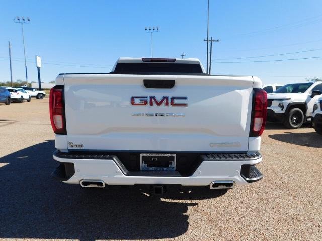 2025 GMC Sierra 1500 Vehicle Photo in GATESVILLE, TX 76528-2745