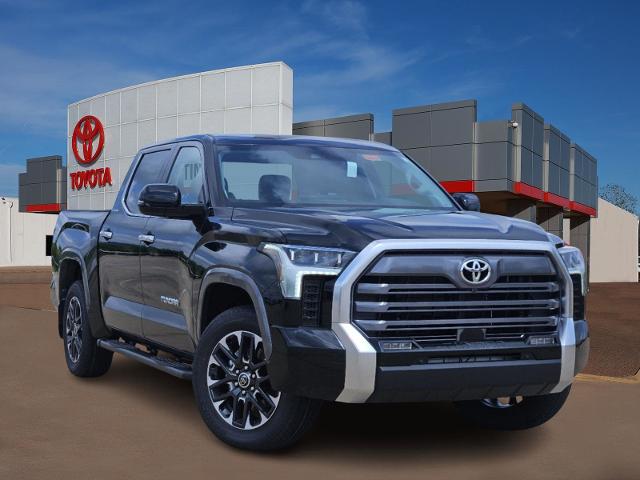 2024 Toyota Tundra 2WD Vehicle Photo in Denison, TX 75020