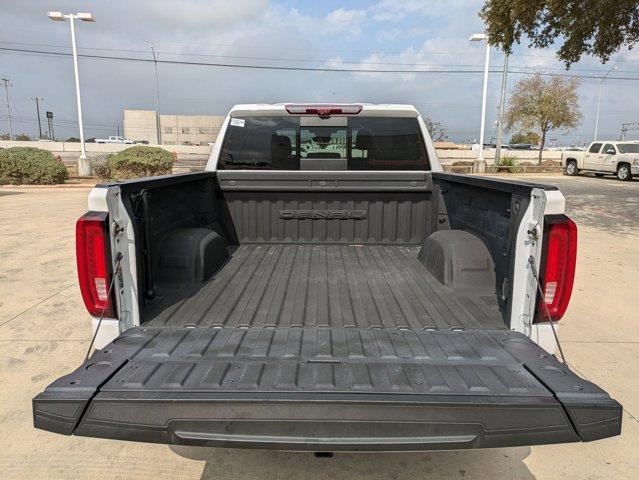 2023 GMC Sierra 1500 Vehicle Photo in SELMA, TX 78154-1459