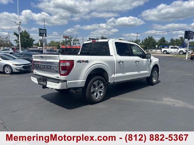 2023 Ford F-150 Vehicle Photo in VINCENNES, IN 47591-5519