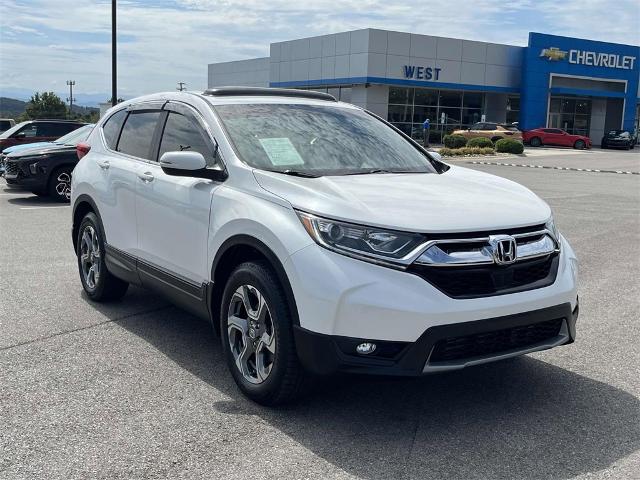 2019 Honda CR-V Vehicle Photo in ALCOA, TN 37701-3235