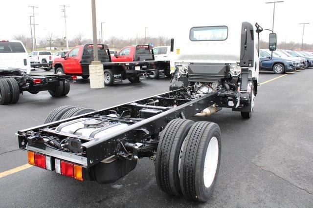 2024 Chevrolet Low Cab Forward 4500 Vehicle Photo in COLUMBIA, MO 65203-3903