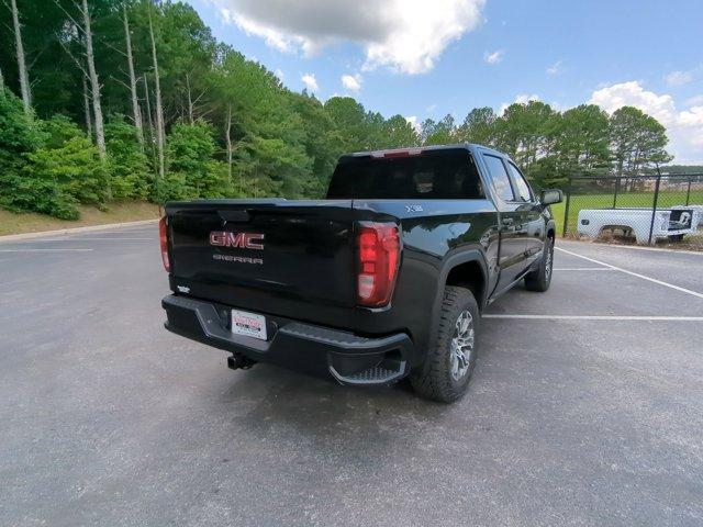 2024 GMC Sierra 1500 Vehicle Photo in ALBERTVILLE, AL 35950-0246