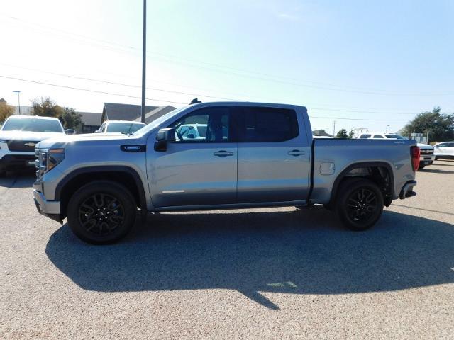 2025 GMC Sierra 1500 Vehicle Photo in GATESVILLE, TX 76528-2745