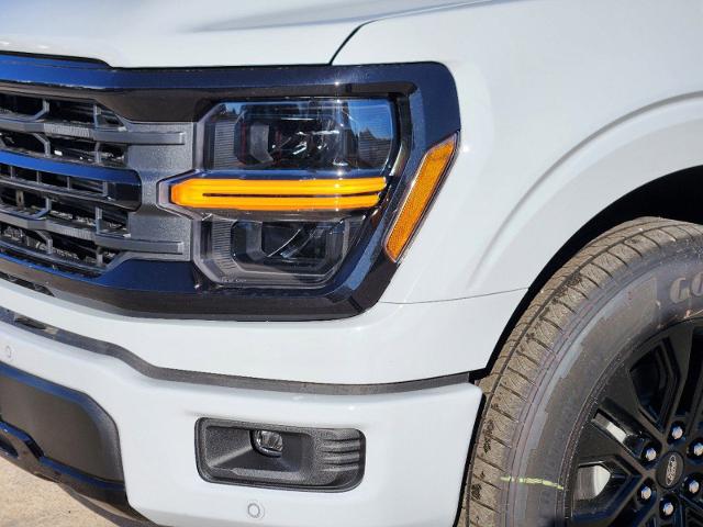 2024 Ford F-150 Vehicle Photo in Pilot Point, TX 76258