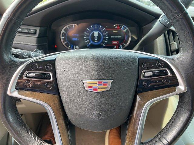 2019 Cadillac Escalade Vehicle Photo in JACKSON, MI 49202-1834