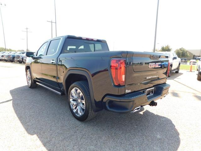 2025 GMC Sierra 1500 Vehicle Photo in Weatherford, TX 76087