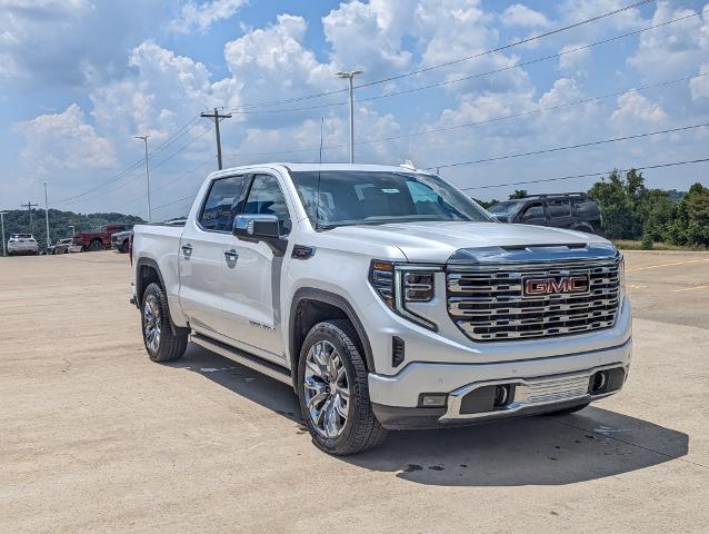 2024 GMC Sierra 1500 Vehicle Photo in POMEROY, OH 45769-1023