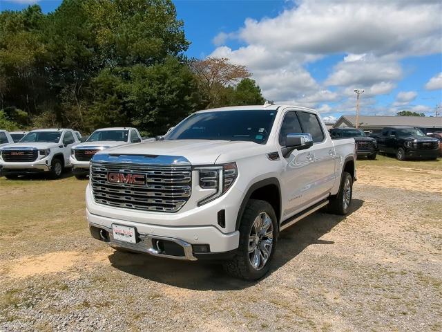 2023 GMC Sierra 1500 Vehicle Photo in ALBERTVILLE, AL 35950-0246