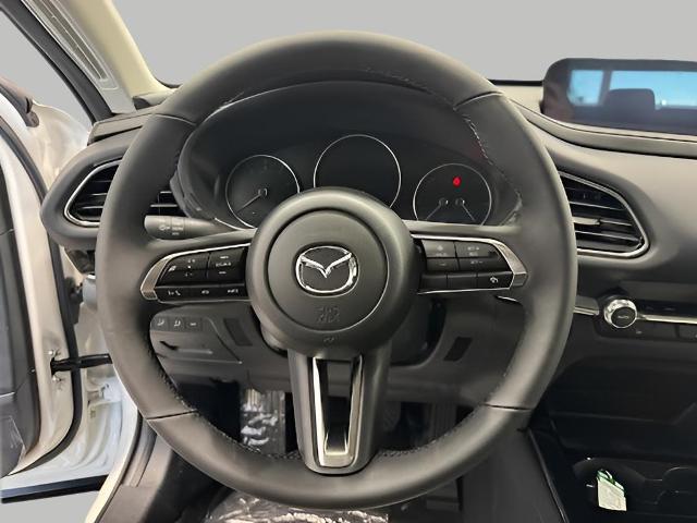 2025 Mazda CX-30 Vehicle Photo in Green Bay, WI 54304