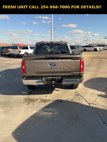 2023 Ford F-150 Vehicle Photo in STEPHENVILLE, TX 76401-3713