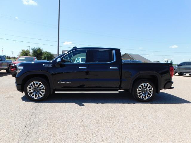 2024 GMC Sierra 1500 Vehicle Photo in GATESVILLE, TX 76528-2745