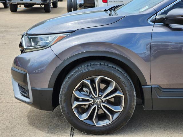 2022 Honda CR-V Vehicle Photo in Ennis, TX 75119-5114