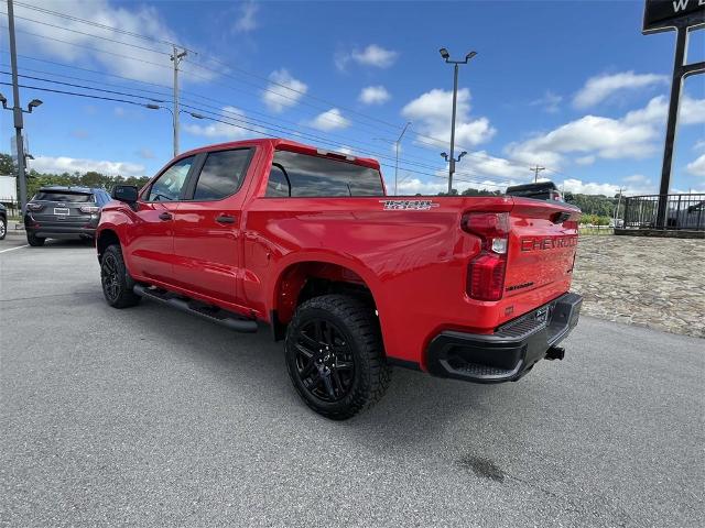 2024 Chevrolet Silverado 1500 Vehicle Photo in ALCOA, TN 37701-3235