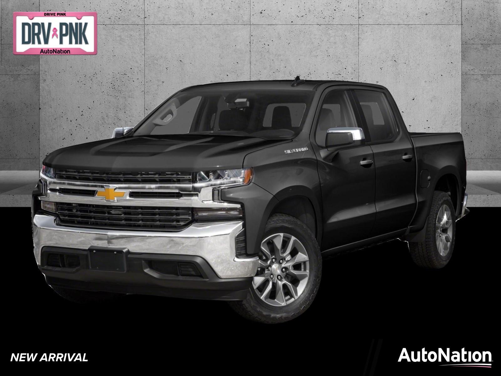 2020 Chevrolet Silverado 1500 Vehicle Photo in Panama City, FL 32401