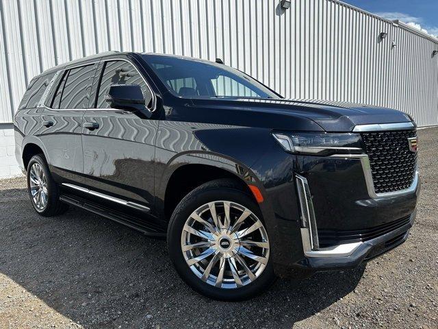 2022 Cadillac Escalade Vehicle Photo in JACKSON, MI 49202-1834