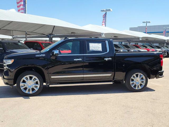 2024 Chevrolet Silverado 1500 Vehicle Photo in ODESSA, TX 79762-8186