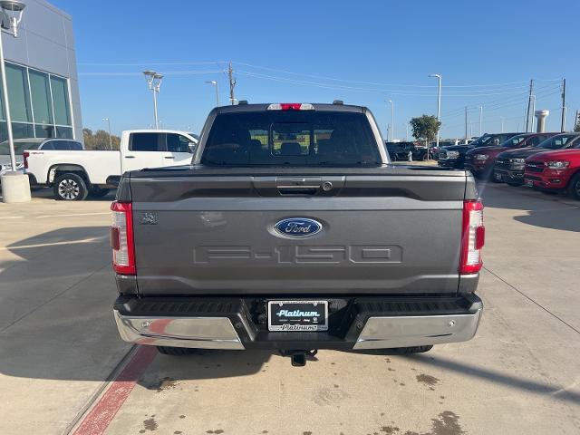 2021 Ford F-150 Vehicle Photo in Terrell, TX 75160