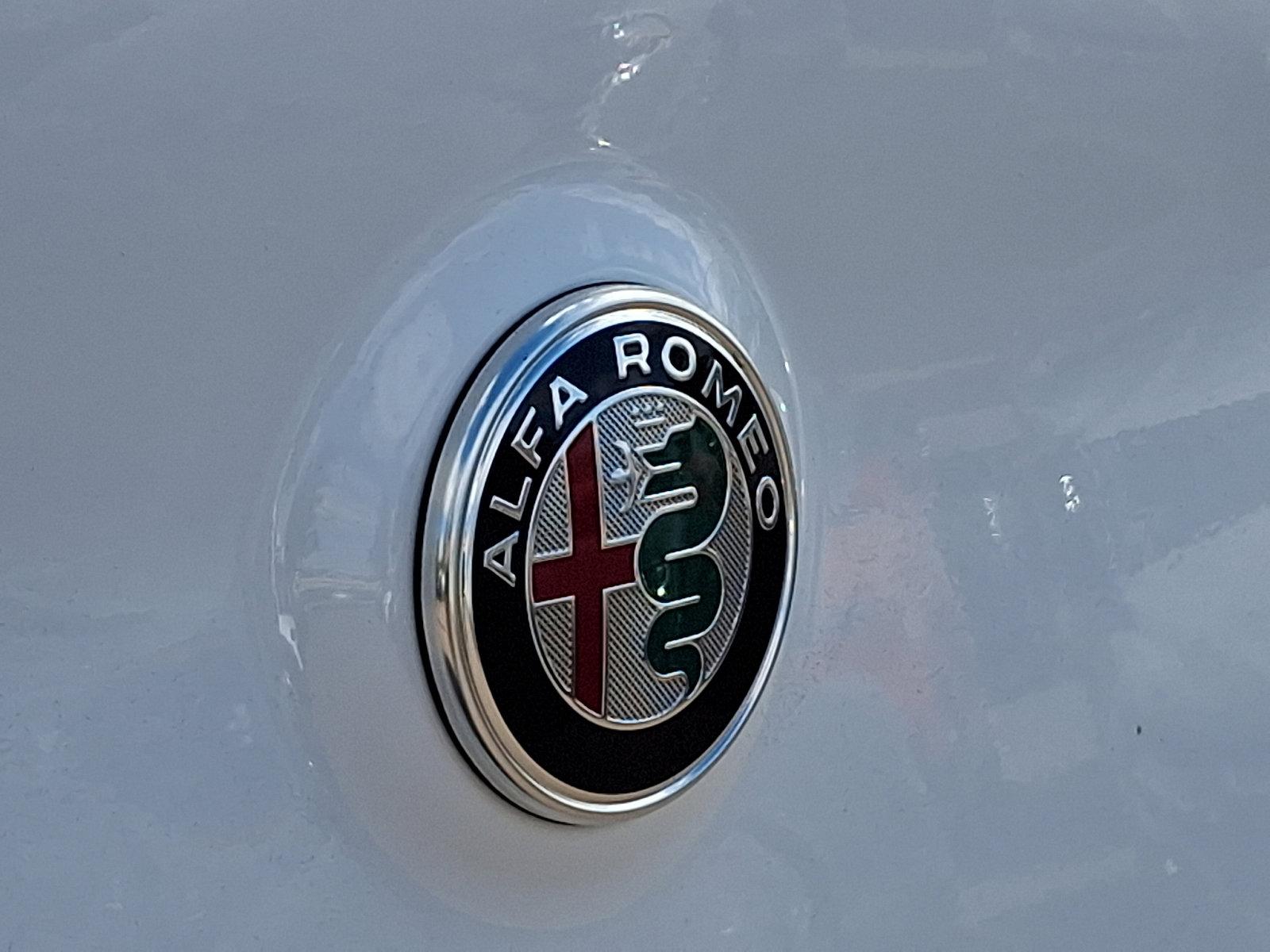 2021 Alfa Romeo Stelvio Vehicle Photo in Willow Grove, PA 19090