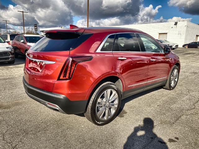 2024 Cadillac XT5 Vehicle Photo in WILLIAMSVILLE, NY 14221-2883