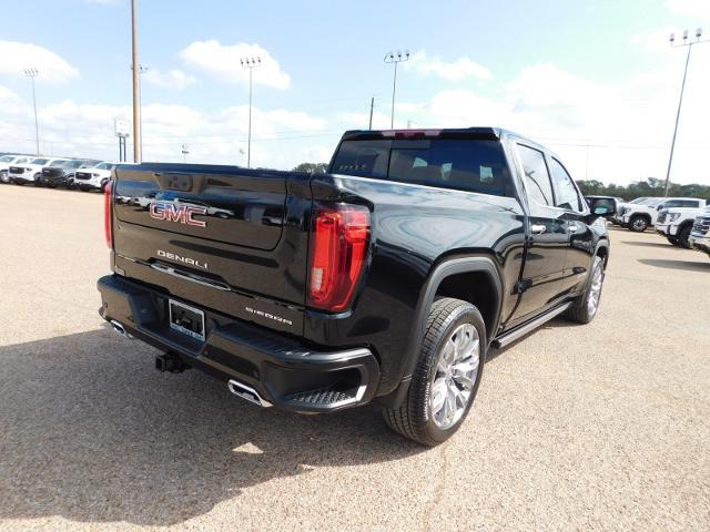 2025 GMC Sierra 1500 Vehicle Photo in GATESVILLE, TX 76528-2745