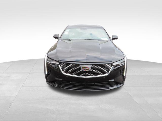 2025 Cadillac CT4 Vehicle Photo in DELRAY BEACH, FL 33483-3294