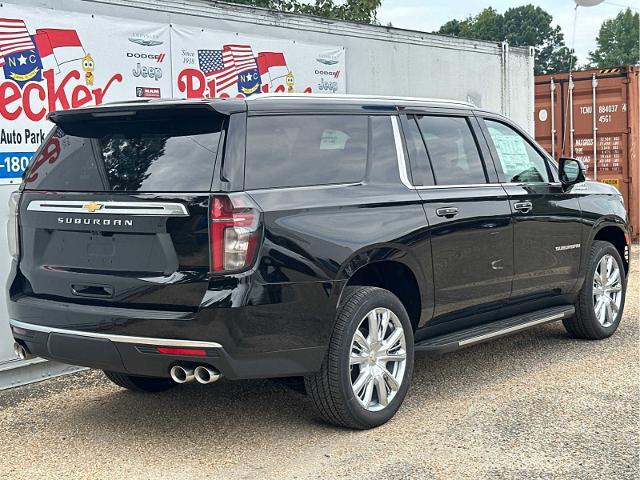 2024 Chevrolet Suburban Vehicle Photo in DUNN, NC 28334-8900