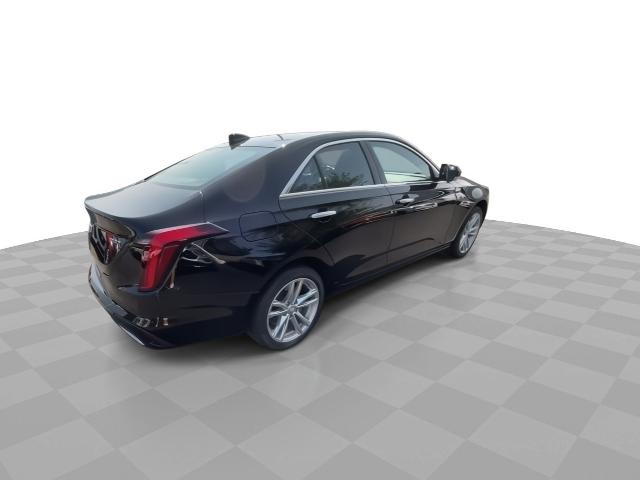 2020 Cadillac CT4 Vehicle Photo in WILLIAMSVILLE, NY 14221-4303