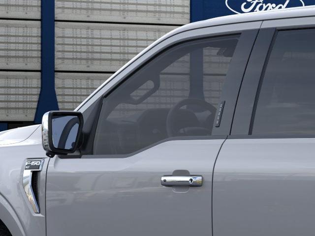 2024 Ford F-150 Vehicle Photo in Winslow, AZ 86047-2439