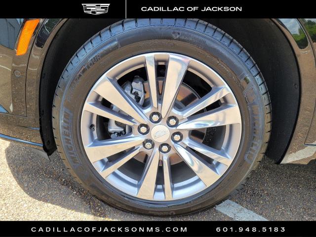 2024 Cadillac XT6 Vehicle Photo in RIDGELAND, MS 39157-4406