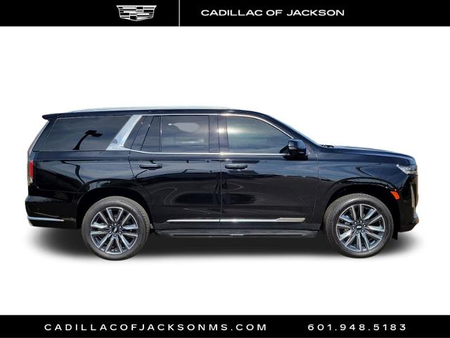 2023 Cadillac Escalade Vehicle Photo in RIDGELAND, MS 39157-4406