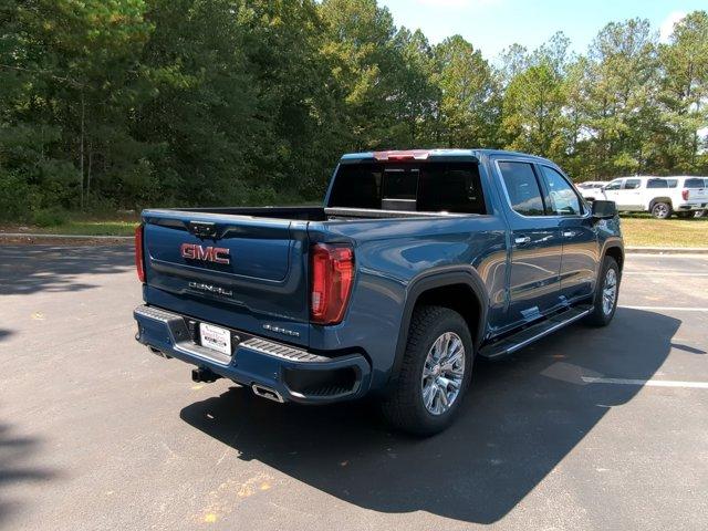 2025 GMC Sierra 1500 Vehicle Photo in ALBERTVILLE, AL 35950-0246