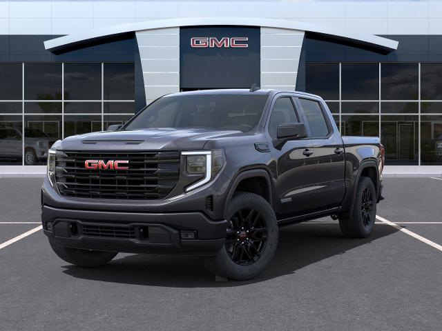 2024 GMC Sierra 1500 Vehicle Photo in GLENSHAW, PA 15116-1739