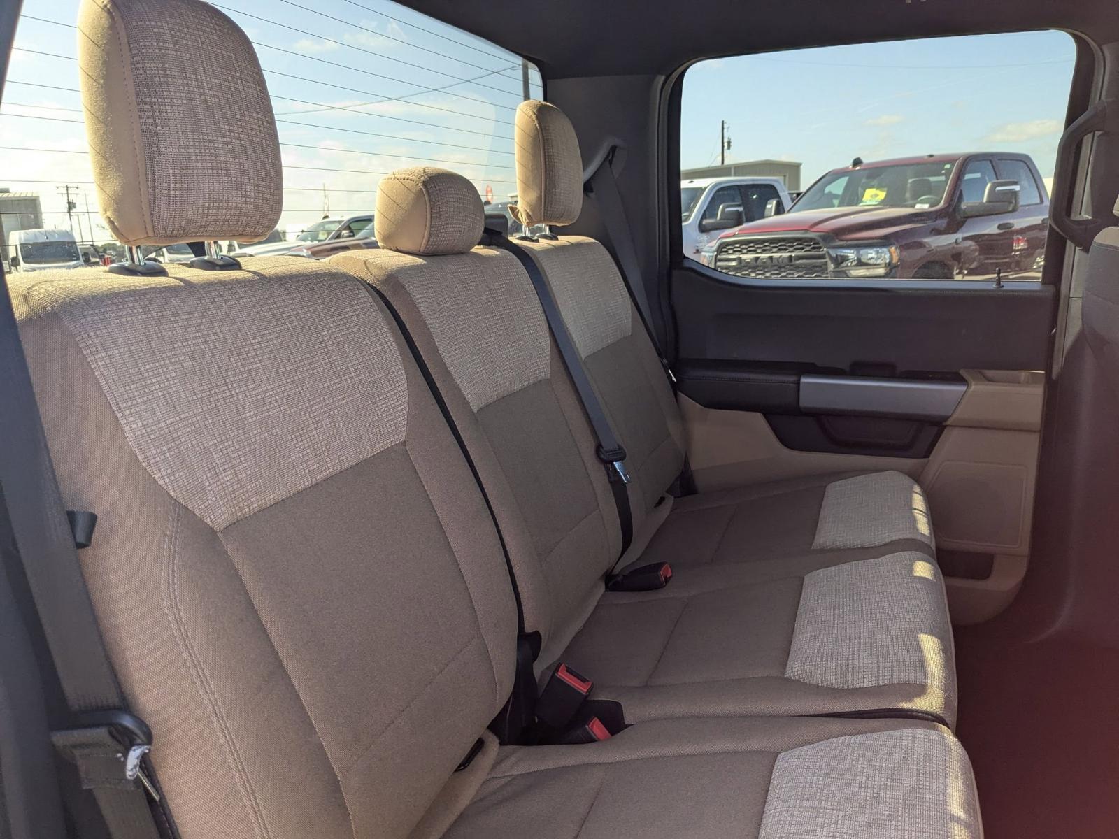 2023 Ford F-150 Vehicle Photo in Seguin, TX 78155