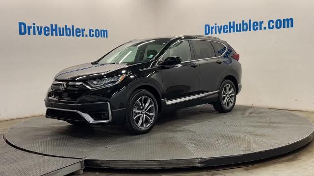 2020 Honda CR-V Vehicle Photo in INDIANAPOLIS, IN 46227-0991