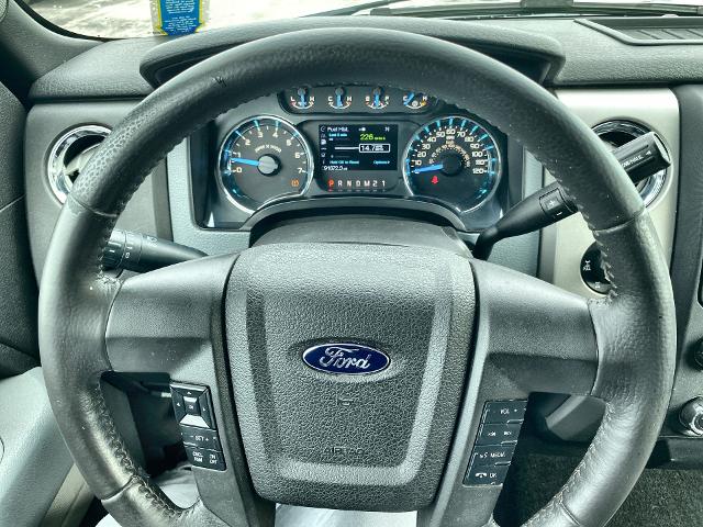 2014 Ford F-150 Vehicle Photo in WILLIAMSVILLE, NY 14221-2883