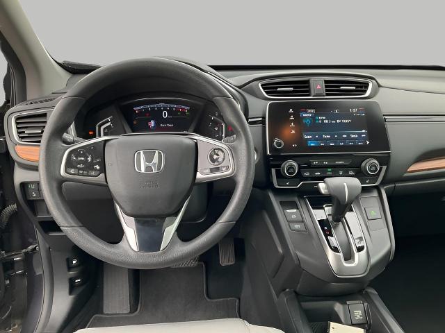 2019 Honda CR-V Vehicle Photo in Oshkosh, WI 54904