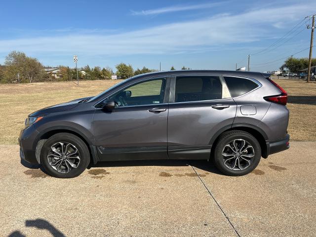 2022 Honda CR-V Vehicle Photo in Denison, TX 75020