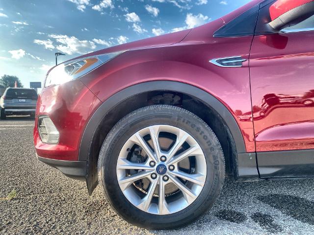 2019 Ford Escape Vehicle Photo in PONCA CITY, OK 74601-1036