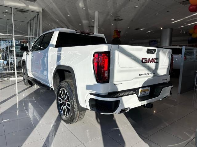 2025 GMC Sierra 1500 Vehicle Photo in COLUMBIA, MO 65203-3903