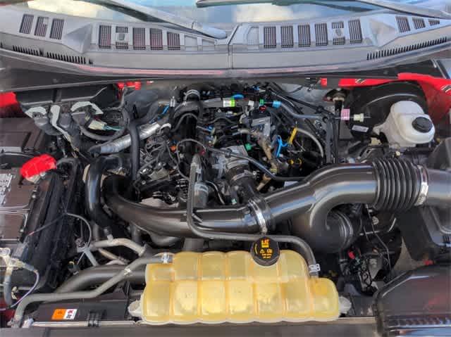 2019 Ford F-150 Vehicle Photo in Corpus Christi, TX 78411