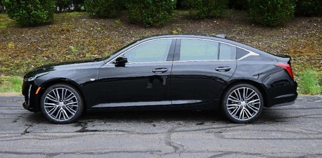 2024 Cadillac CT5 Vehicle Photo in NORWOOD, MA 02062-5222